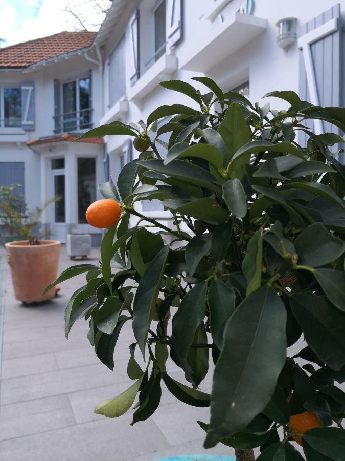 Saint-Brévin-lʼOcéan Brevocean Chb Calme Cote Atlantique Bed & Breakfast エクステリア 写真